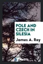 Pole and Czech in Silesia - James A. Roy