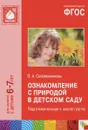 Ознакомление с природой в детском саду. Подготовительная к школе группа - О. А. Соломенникова