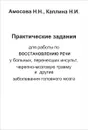 Практические задания по восстановлению речи у больных, перенесших инсульт, черепно-мозговую травму и другие заболевания головного мозга. Рабочая тетрадь №1. Практический материал для работы над предметным словарем и существительными - Н. Н. Амосова, Н. И. Каплина