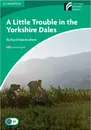 Little Trouble in the Yorkshire Dales - Richard MacAndrew