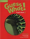 Guess What! Level 1 Pupil's Book - Susannah Reed, Lesley Koustaff, Kay Bentley