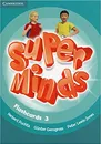 Super Minds: Level 3: Flashcards (Pack of 83) - Herbert Puchta, Günter Gerngross, Peter Lewis-Jones