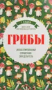 Грибы. Иллюстрированный справочник-определитель - Татьяна Ильина