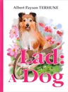 Lad: A Dog - Albert Payson Terhune