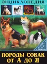 Породы собак от А до Я - Людмила Соколова