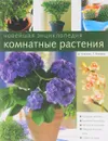 Новейшая энциклопедия: Комнатные растения - Д. Князева, Т. Князева