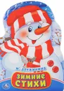 Зимние стихи - М. Дружинина