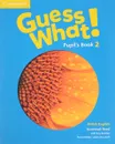 Guess What! 2 Pupil's Book - Susannah Reed, Lesley Koustaff, Kay Bentley