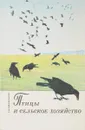 Птицы и сельское хозяйство - Э.Н.Голованова