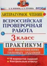 Литературное чтение. 3 класс. Всероссийская проверочная работа. Практикум по выполнению типовых заданий - Е. В. Волкова, А. В. Птухина