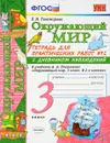 Окружающий мир. 3 класс. Тетрадь для практических работ №2 с дневником наблюдений к учебнику А. А. Плешакова - Е. М. Тихомирова
