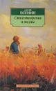 Стихотворения и поэмы - С.Есенин