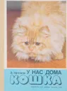 У нас дома кошка - Чаплина В.