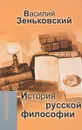 История русской философии - В. В. Зеньковский