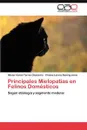 Principales Mielopatias En Felinos Domesticos - H. Ctor Daniel Torres Chavarr a.