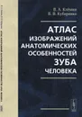 Атлас изображений анатомических особенностей зуба человека - В. А. Клёмин,В. В. Кубаренко