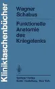 Funktionelle Anatomie des Kniegelenks - M. Wagner