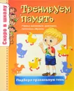 Тренируем память. Подбери правильную тень - О. Наумова, А. Майорова