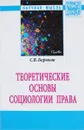 Теоретические основы социологии права - С. В. Бирюков