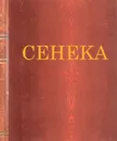 Сенека. Нравственные письма к Луцилию - Сенека Л.А.