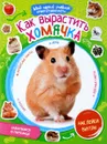 Как вырастить хомячка (+ наклейки) - Н. Моисеева