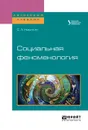 Социальная феноменология. Учебное пособие для бакалавриата и магистратуры - Никитин Сергей Александрович