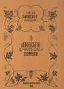 О любви в четырех сотнях - Святой Максим (Исповедник)