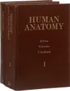 Human anatomy / Анатомия человека (комплект из 2 книг) - Привес М.Г., Лысенков Н.К., Бушкович В.И.