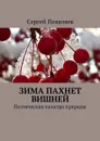 Зима пахнет вишней. Поэтическая палитра природы - Поваляев Сергей Анатольевич