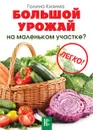 Большой урожай на маленьком участке? Легко! - Галина Кизима