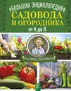 Большая энциклопедия садовода и огородника от А до Я - Г. А. Кизима