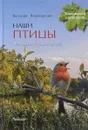 Наши птицы. Определитель для детей - В. Вишневский
