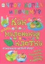 Как одна маленькая клетка изменила целый мир - Ольга Соколова