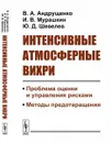 Интенсивные атмосферные вихри. Проблема оценки и управления рисками. Методы предотвращения - В. А. Андрущенко, И. В. Мурашкин, Ю. Д. Шевелев