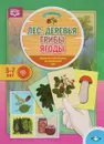 Лес. Деревья. Грибы. Ягоды. Дидактический материал по лексической теме - Т. А. Куликовская