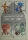 Удивительные растения (набор из 32 открыток) - З.В. Воронцова