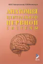 Анатомия центральной нервной системы - И. Гайворонский, Г. Ничипорук