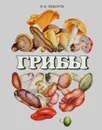 Грибы - Ф. В. Федоров