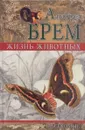 Жизнь животных. Насекомые. Том 2. Отряд перепончатокрылые. Отряд чешуекрылые, или бабочки. - Альфред Брем