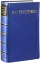И. С. Тургенев. Полное собрание сочинений и писем в 28 томах. Письма в 13 томах. Том 8 - И. С. Тургенев