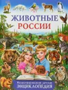 Животные России. Иллюстрированная детская энциклопедия - С. В. Рублев