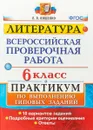 ВПР. Литература. 6 класс. Практикум по выполнению типовых заданий. 10 вариантов заданий - Е. Л. Ляшенко