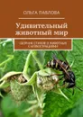 Удивительный животный мир. Сборник стихов о животных с иллюстрациями - Павлова Ольга