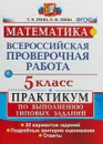 Математика. 5 класс. Всероссийская проверочная работа. Практикум по выполнению типовых заданий - Т. М. Ерина, М. Ю. Ерина