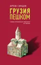 Грузия пешком. Самые интересные прогулки по Грузии - Синцов Артем Юрьевич