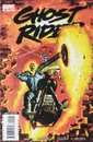 Ghost Rider #15 - Daniel Way, Javier Saltare, Mark Texeira, Dan Brown