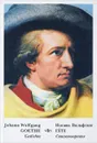Johann Wolfgang Goethe: Gedichte / Иоганн Вольфганг Гете. Стихотворения - Иоганн Вольфганг Гете