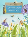 Страшный жук? Добрый жук! - Алёна Кашура, Михаил Цуриков