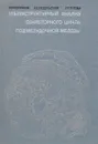 Ультраструктурный анализ секретного цикла поджелудочной железы - Н.К. Пермяков, А.Е. Подпольский, Г.П. Титова