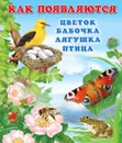 Как появляются цветок, бабочка, лягушка, птица - И. Гурина